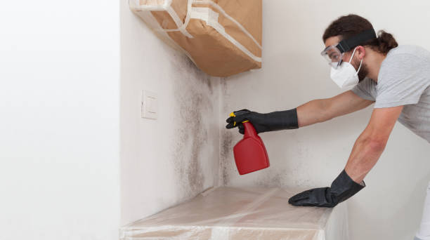 Professional Bathroom Mold Removal technician working in Thornton, IL