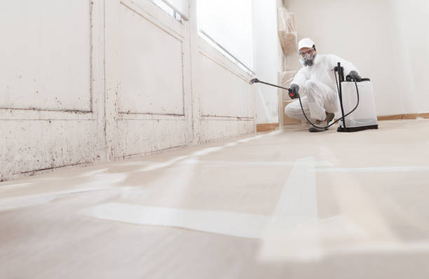 24/7 Emergency Bathroom Mold Removal experts in Thornton, IL